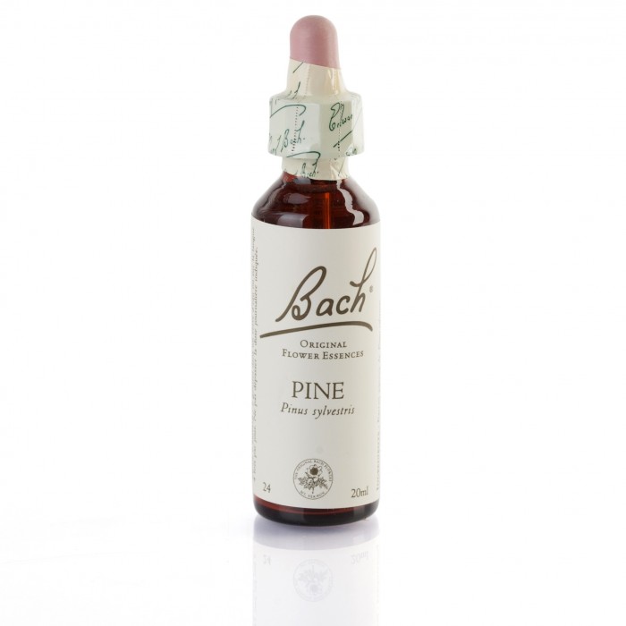 PINE ( pin sylvestre ) 20 ml