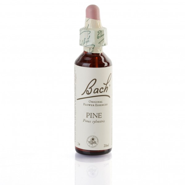 PINE ( pin sylvestre ) 20 ml