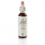 PINE ( pin sylvestre ) 20 ml PINE ( pin sylvestre ) 20 ml