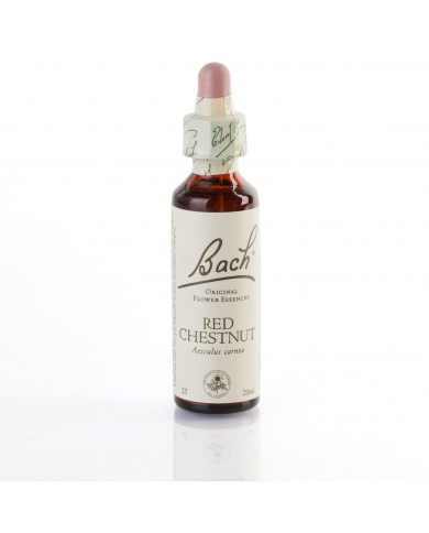RED CHESTNUT ( marronnier à fleurs rouges ) 20 ml RED CHESTNUT ( marronnier à fleurs rouges ) 20 ml