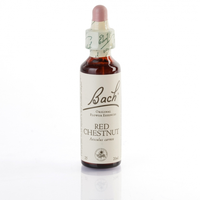 RED CHESTNUT ( marronnier à fleurs rouges ) 20 ml