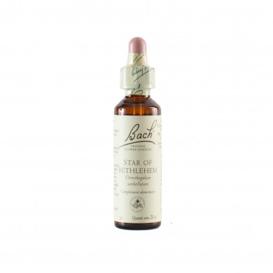 STAR OF BETHLEHEM ( ornithogale en ombelle ) 20 ml STAR OF BETHLEHEM ( ornithogale en ombelle ) 20 ml