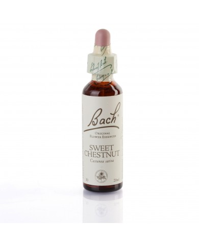 SWEET CHESTNUT ( chataignier ) 20 ml SWEET CHESTNUT ( chataignier ) 20 ml