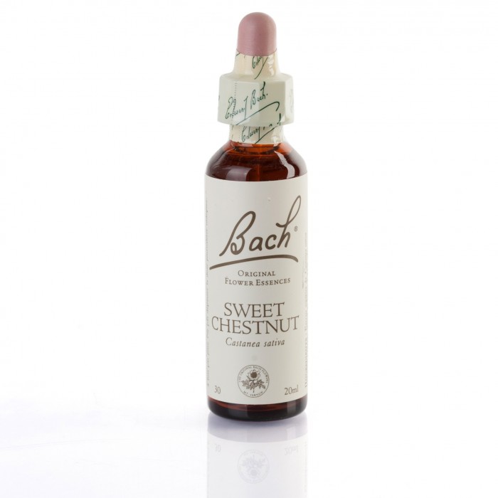 SWEET CHESTNUT ( chataignier ) 20 ml