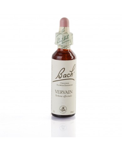 VERVAIN ( verveine officinale ) 20 ml VERVAIN ( verveine officinale ) 20 ml