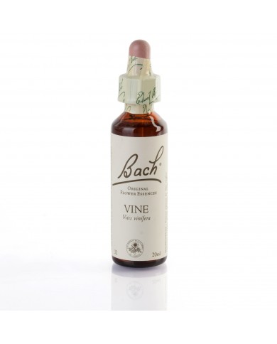 VINE ( vigne ) 20 ml VINE ( vigne ) 20 ml