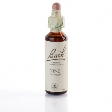 VINE ( vigne ) 20 ml VINE ( vigne ) 20 ml