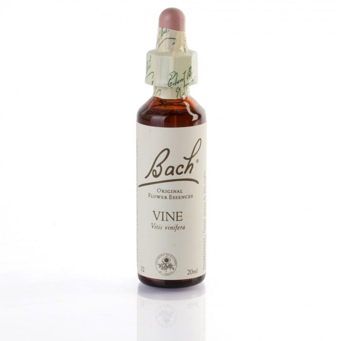 VINE ( vigne ) 20 ml