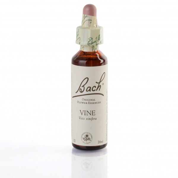 VINE ( vigne ) 20 ml