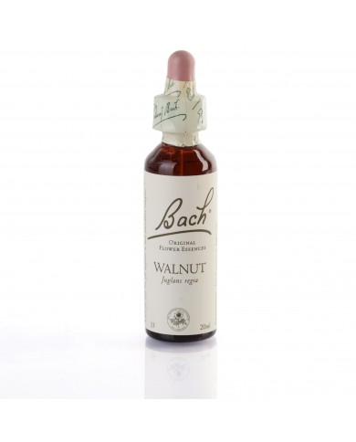 WALNUT ( noyer ) 20 ml WALNUT ( noyer ) 20 ml