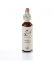 WATER VIOLET ( violette ) 20 ml