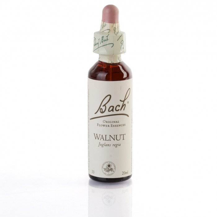 WALNUT ( noyer ) 20 ml