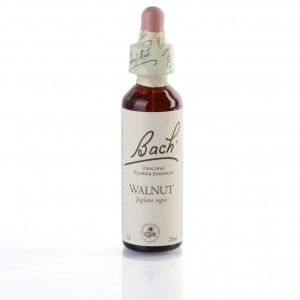WALNUT ( noyer ) 20 ml
