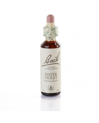 WATER VIOLET ( violette ) 20 ml WATER VIOLET ( violette ) 20 ml