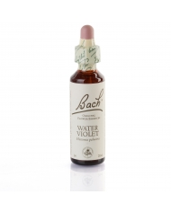 WHITE CHESTNUT ( marronnier d'inde à fleurs blanches ) 20 ml