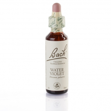 WATER VIOLET ( violette ) 20 ml WATER VIOLET ( violette ) 20 ml