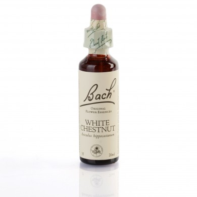 WHITE CHESTNUT ( marronnier d'inde à fleurs blanches ) 20 ml WHITE CHESTNUT ( marronnier d'inde à fleurs blanches ) 20 ml