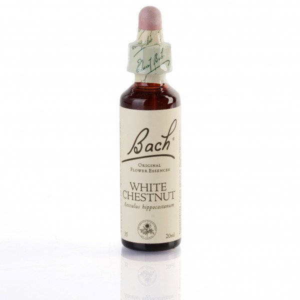 WHITE CHESTNUT ( marronnier d'inde à fleurs blanches ) 20 ml