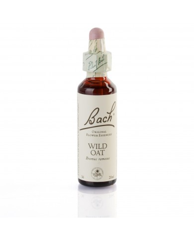 WILD OAT ( folle avoine ) 20 ml WILD OAT ( folle avoine ) 20 ml