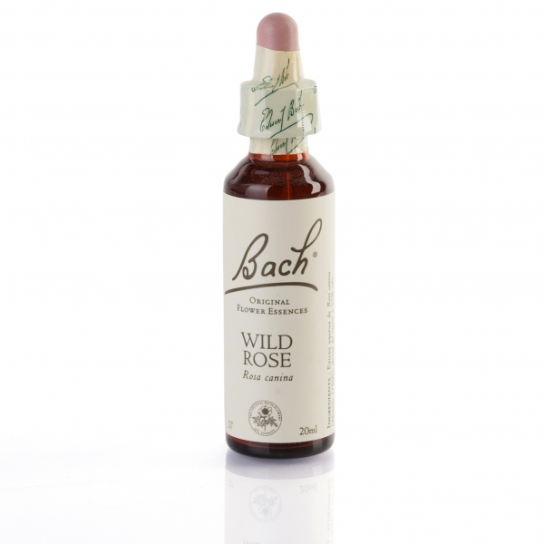 WILD ROSE ( églantier ) 20 ml