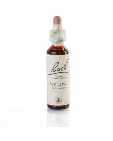 WILLOW ( saule blanc ) 20 ml WILLOW ( saule blanc ) 20 ml