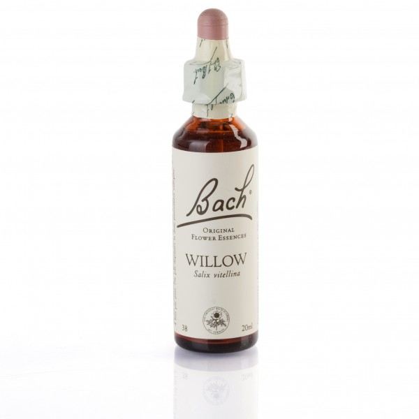 WILLOW ( saule blanc ) 20 ml