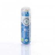 Holly en granulés (Fleurs de Bach) Holly en granulés (Fleurs de Bach)