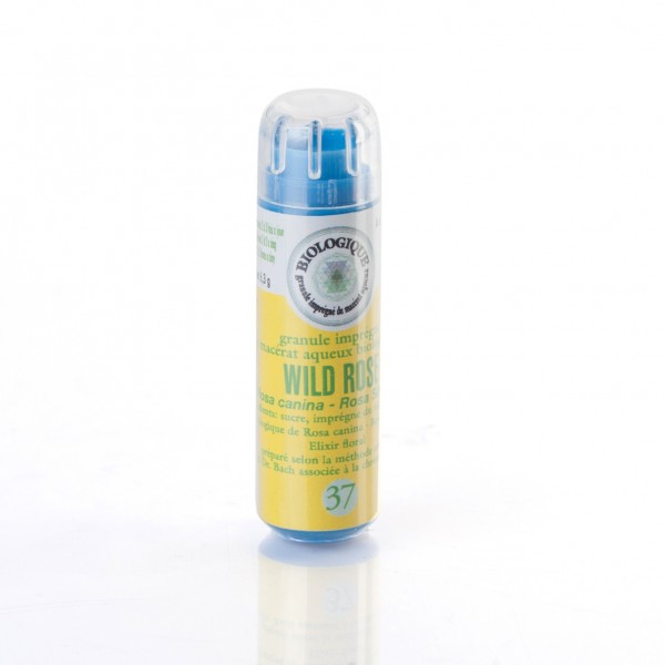 WILD ROSE granulés