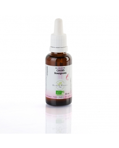 Cassis bourgeons concentré Bio