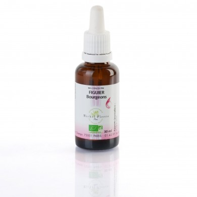 Figuier bourgeons concentré Bio Figuier bourgeons concentré Bio