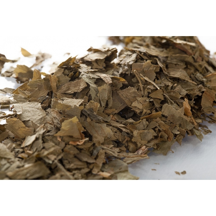 Ail des ours en vrac - Parties aériennes