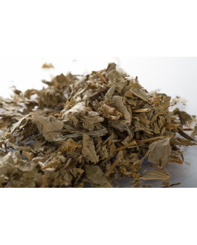 Alchemille vulgaire - Parties aériennes en vrac BIO Alchemille vulgaire - Parties aériennes en vrac BIO