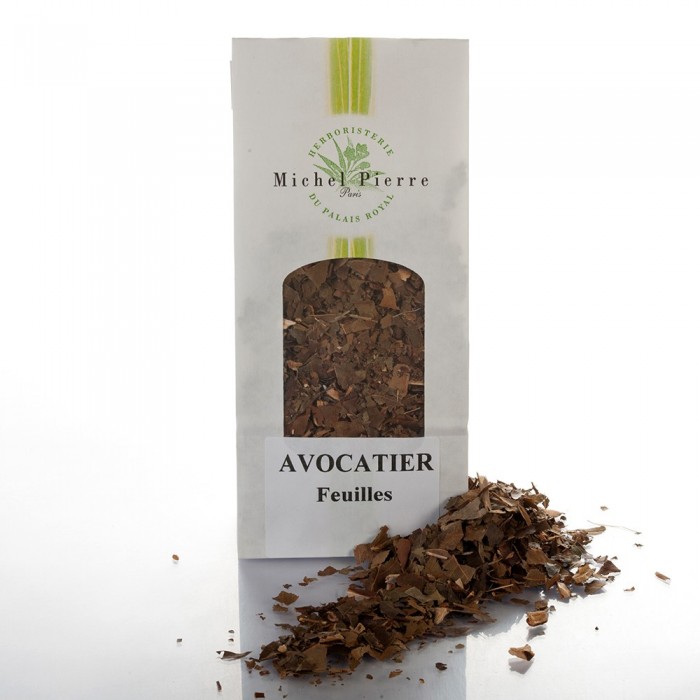 Avocatier - Feuilles en vrac