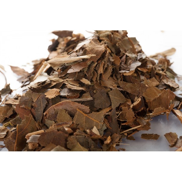 Avocatier - Feuilles en vrac