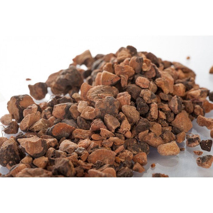 Bistorte - Racines en vrac