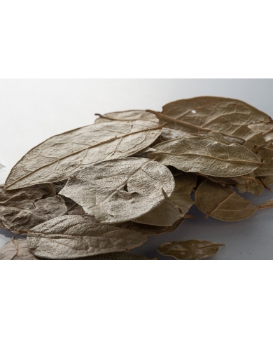 Boldo - Feuilles en vrac Boldo - Feuilles en vrac