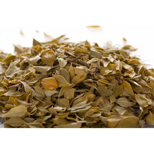 Buchu - Feuilles en vrac