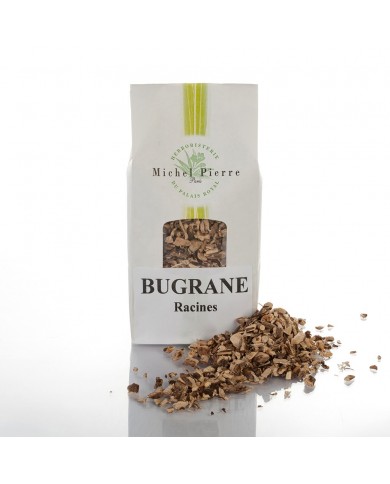 Bugrane - Racines en vrac Bugrane - Racines en vrac