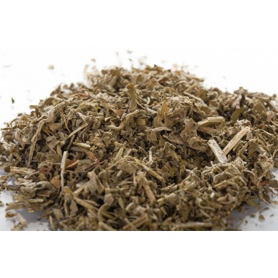 Cataire - parties aérienne en vrac Cataire - parties aérienne en vrac