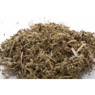 Cataire - parties aérienne en vrac Cataire - parties aérienne en vrac