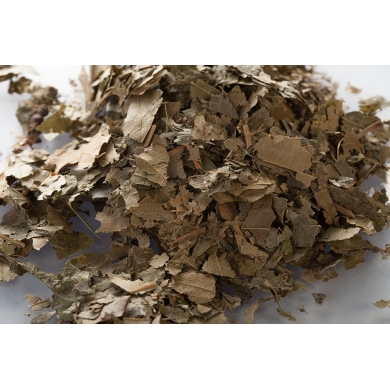 Chataignier - feuilles en vrac