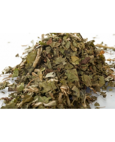 Chicorée sauvage - feuille en vrac Chicorée sauvage - feuille en vrac