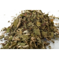 Chicorée sauvage - feuille en vrac Chicorée sauvage - feuille en vrac