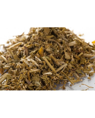 Cochléaire - Feuille en vrac Cochléaire - Feuille en vrac