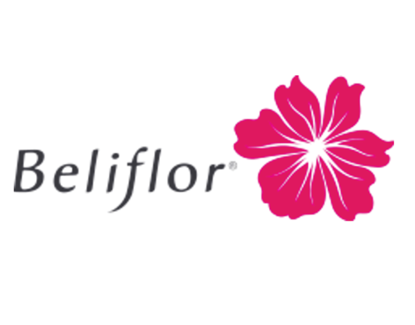 Beliflor